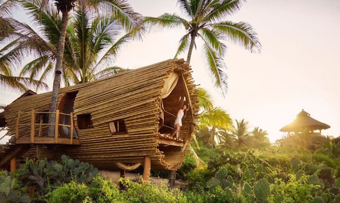 Solar-Powered Cylindrical Treehouse In Mexico Solar-Powered Cylindrical Treehouse In Mexico