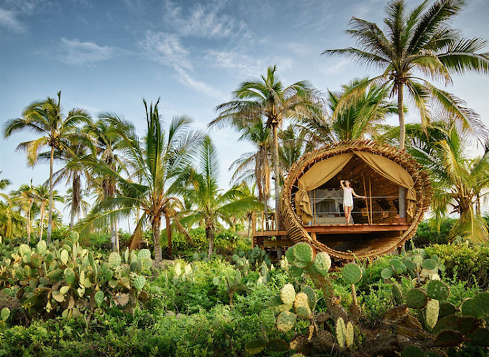 Solar-Powered Cylindrical Treehouse In Mexico Solar-Powered Cylindrical Treehouse In Mexico