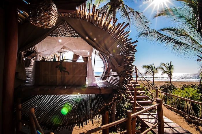 Solar-Powered Cylindrical Treehouse In Mexico Solar-Powered Cylindrical Treehouse In Mexico