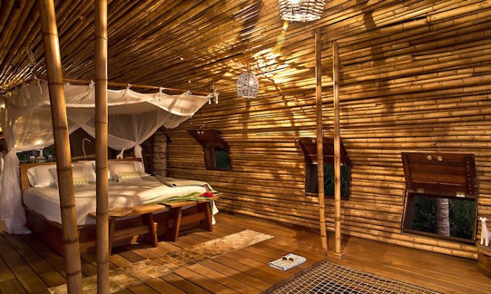 Solar-Powered Cylindrical Treehouse In Mexico Solar-Powered Cylindrical Treehouse In Mexico