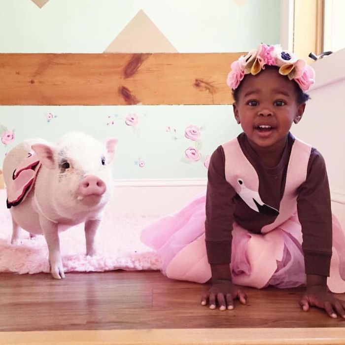 Sweet Fluff Dress Up, Halloween Costumes Of Kids With Their Pets