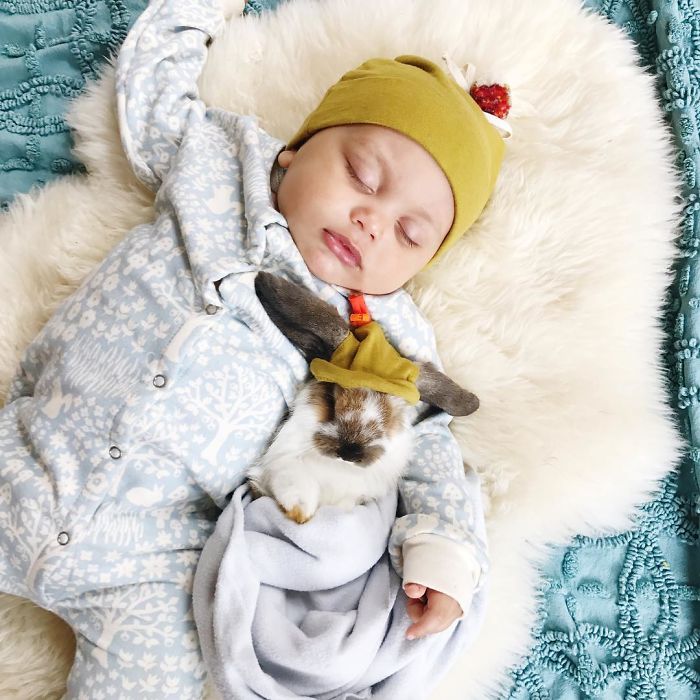 Sweet Fluff Dress Up, Halloween Costumes Of Kids With Their Pets