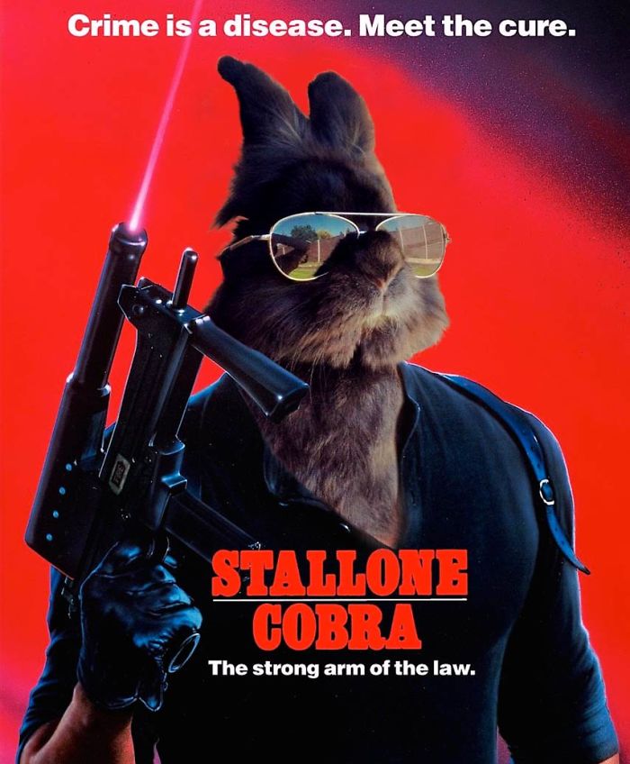 Myxomatosis Is Also A Disease.