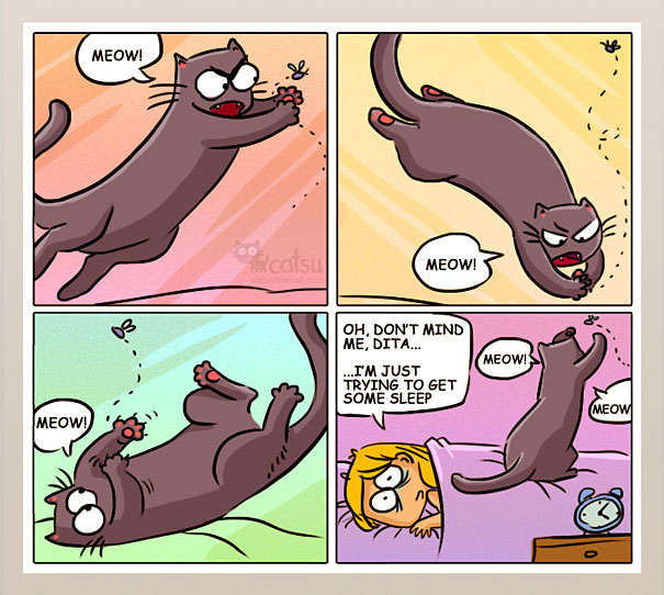 Funny-cat-comics-catsu