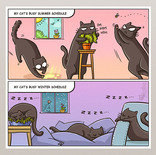 Funny-cat-comics-catsu