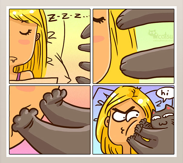 Funny-cat-comics-catsu