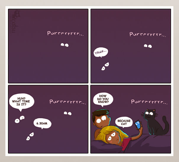 Funny-cat-comics-catsu