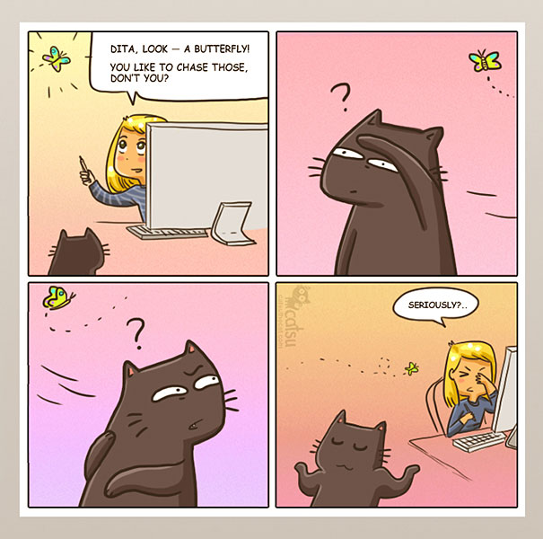 Funny-cat-comics-catsu