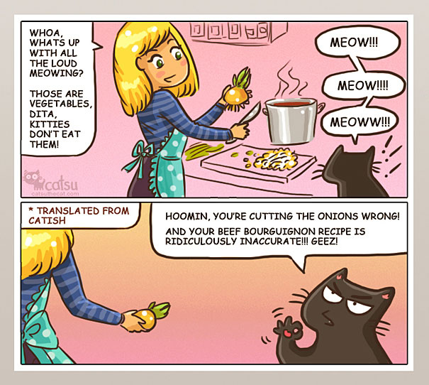 Funny-cat-comics-catsu