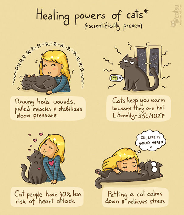 Funny-cat-comics-catsu
