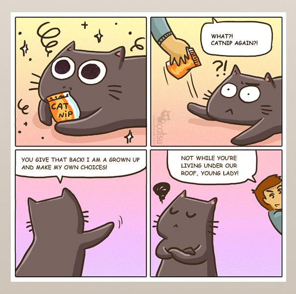 Funny-cat-comics-catsu