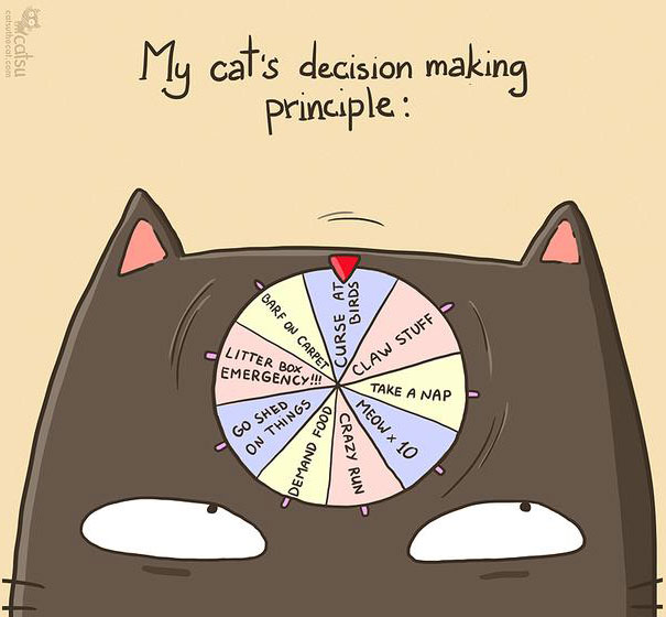 Funny-cat-comics-catsu