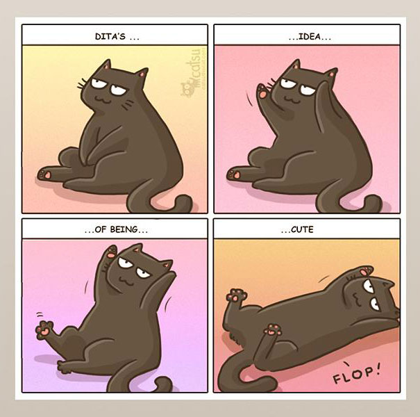 Funny-cat-comics-catsu