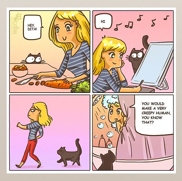 Funny-cat-comics-catsu