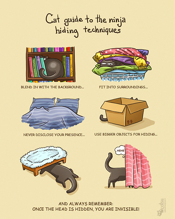 Funny-cat-comics-catsu