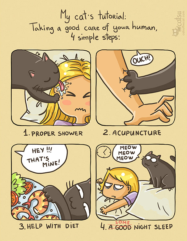 Funny-cat-comics-catsu