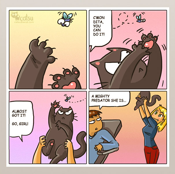 Funny-cat-comics-catsu
