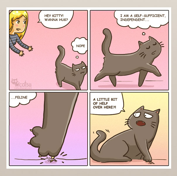 Funny-cat-comics-catsu
