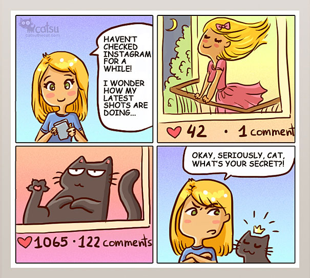Funny-cat-comics-catsu