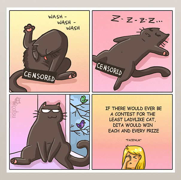 Funny-cat-comics-catsu