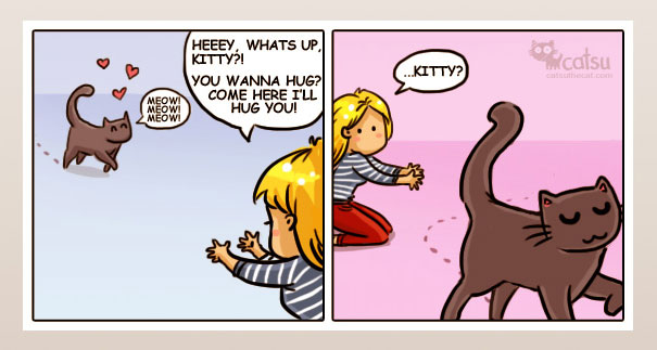 Funny-cat-comics-catsu