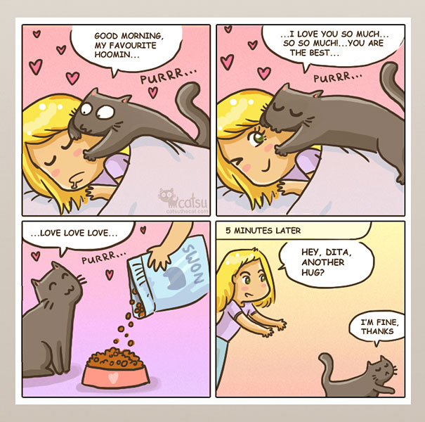 Funny-cat-comics-catsu