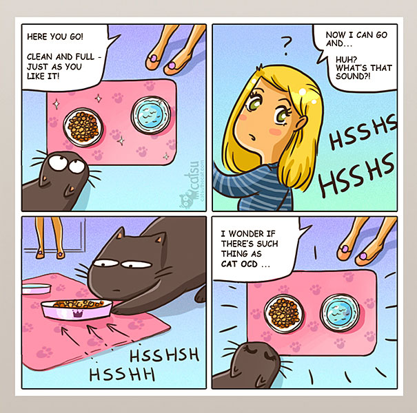 Funny-cat-comics-catsu