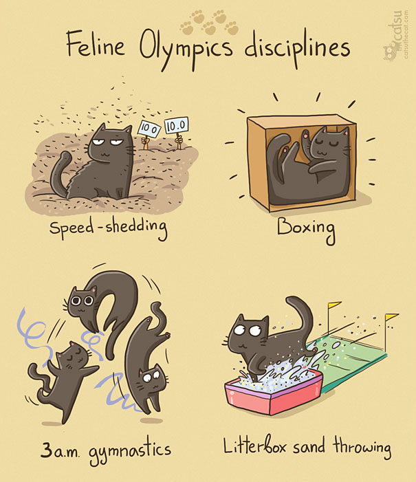 Funny-cat-comics-catsu