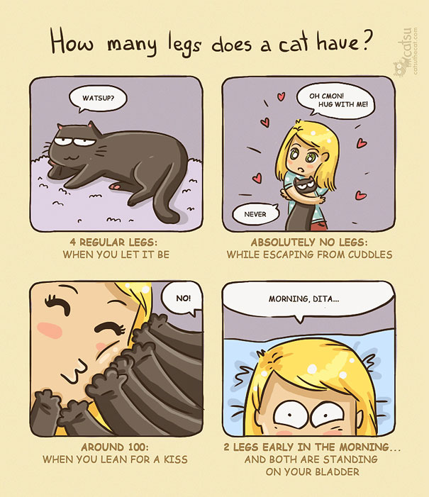 Funny-cat-comics-catsu