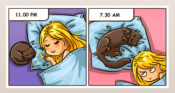 Funny-cat-comics-catsu