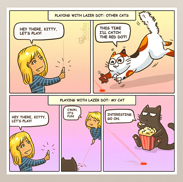 Funny-cat-comics-catsu