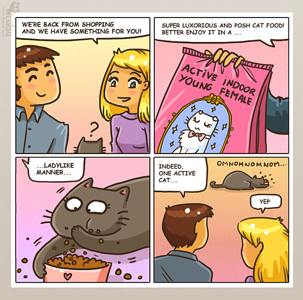 Funny-cat-comics-catsu