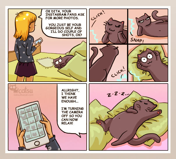 Funny-cat-comics-catsu