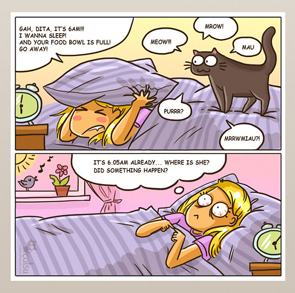 Funny-cat-comics-catsu