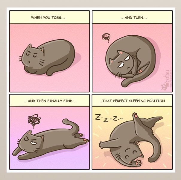 Funny-cat-comics-catsu