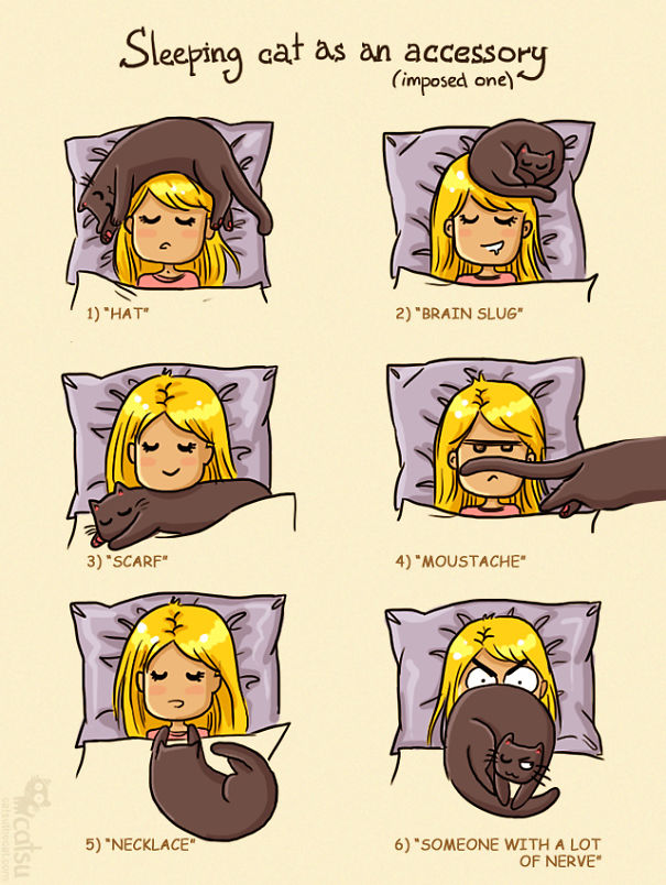 Funny-cat-comics-catsu