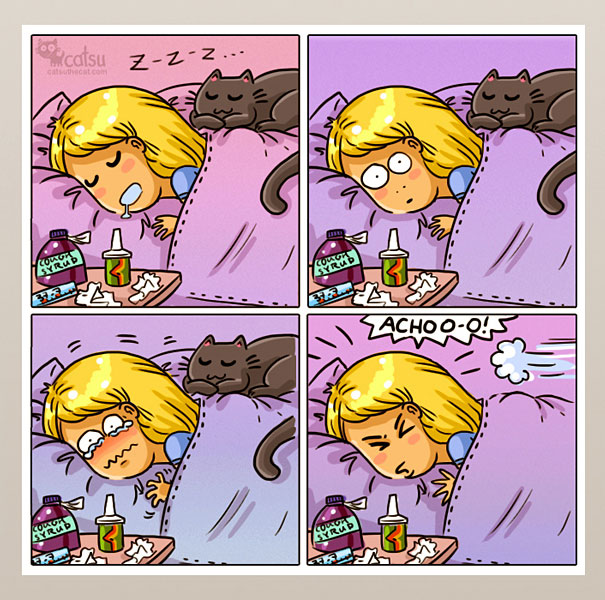 Funny-cat-comics-catsu