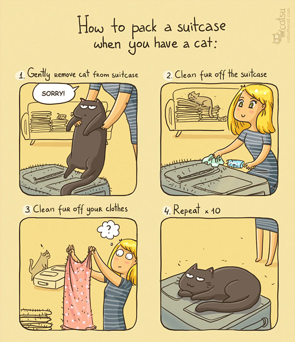 Funny-cat-comics-catsu