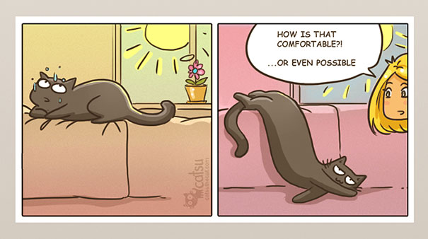 Funny-cat-comics-catsu