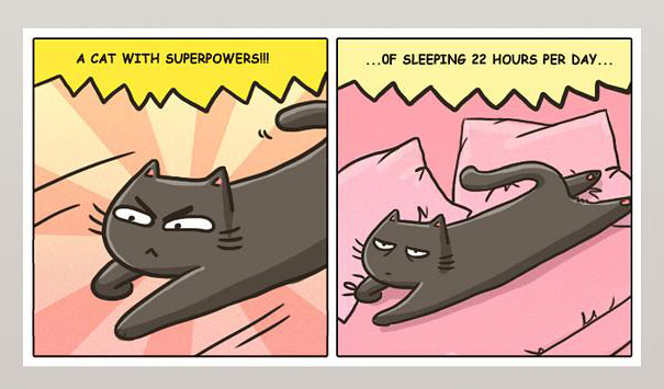 Funny-cat-comics-catsu