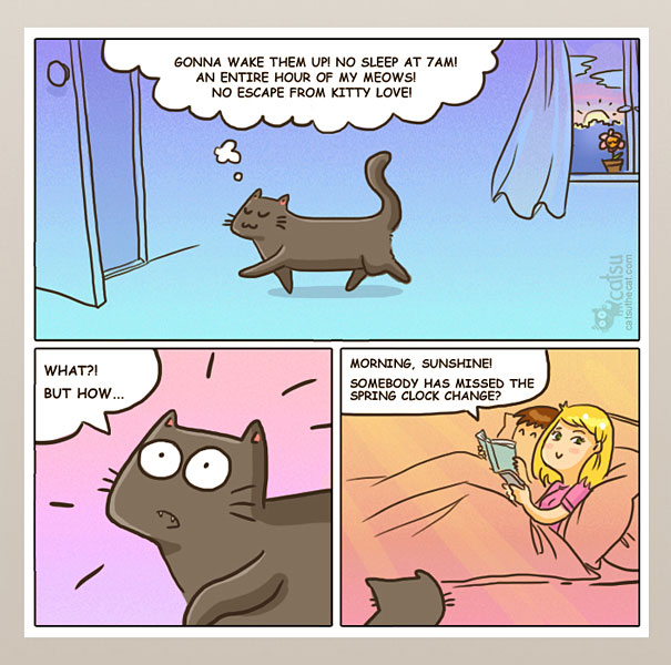 Funny-cat-comics-catsu