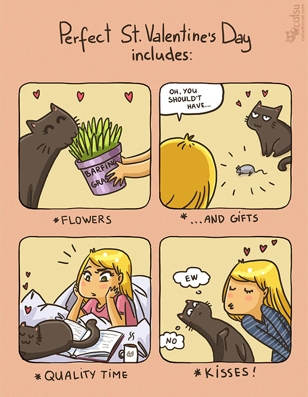 Funny-cat-comics-catsu