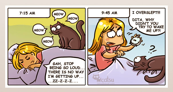 Funny-cat-comics-catsu