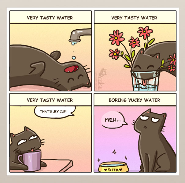 Funny-cat-comics-catsu