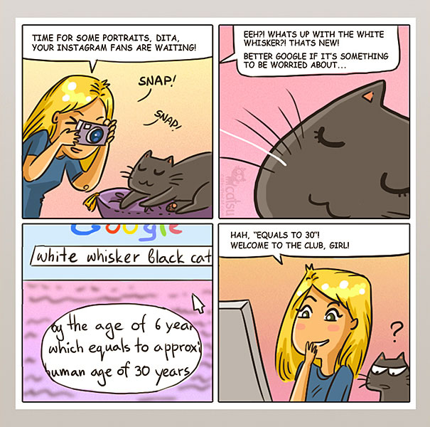 Funny-cat-comics-catsu