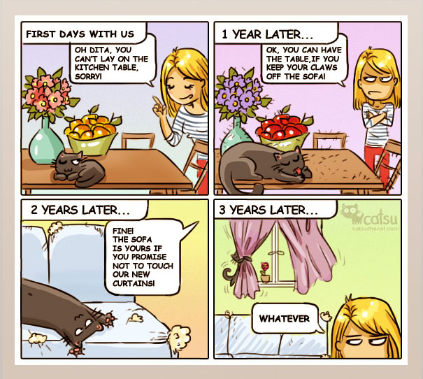 Funny-cat-comics-catsu