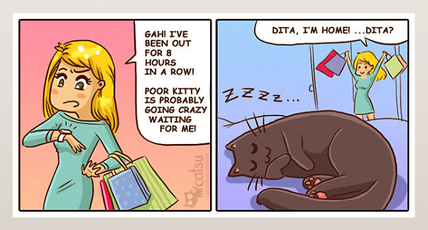 Funny-cat-comics-catsu