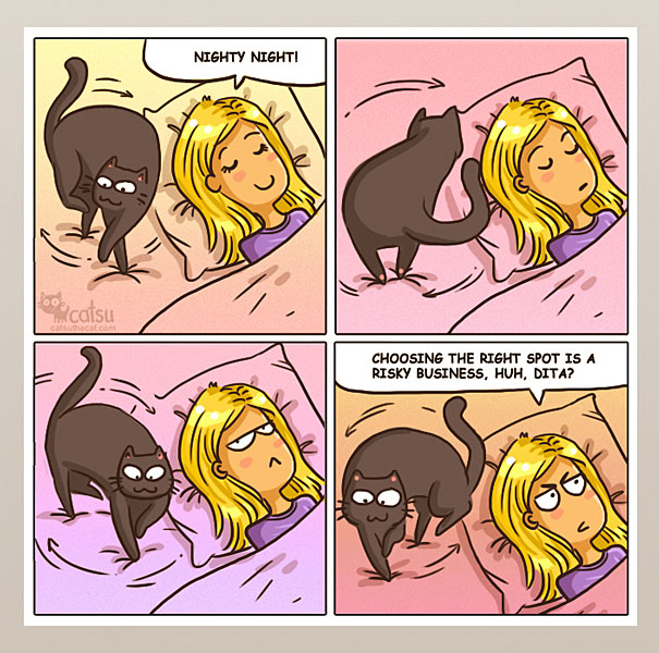 Funny-cat-comics-catsu