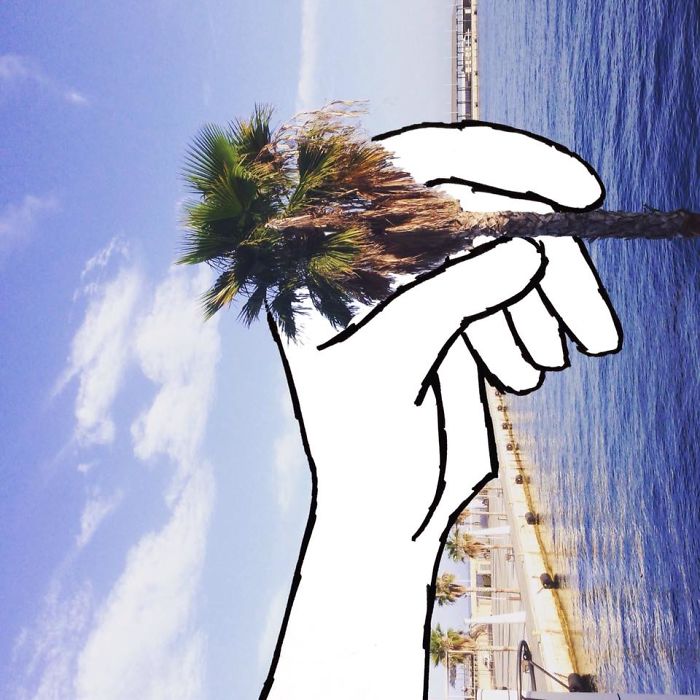 Darts With A Palm Tree