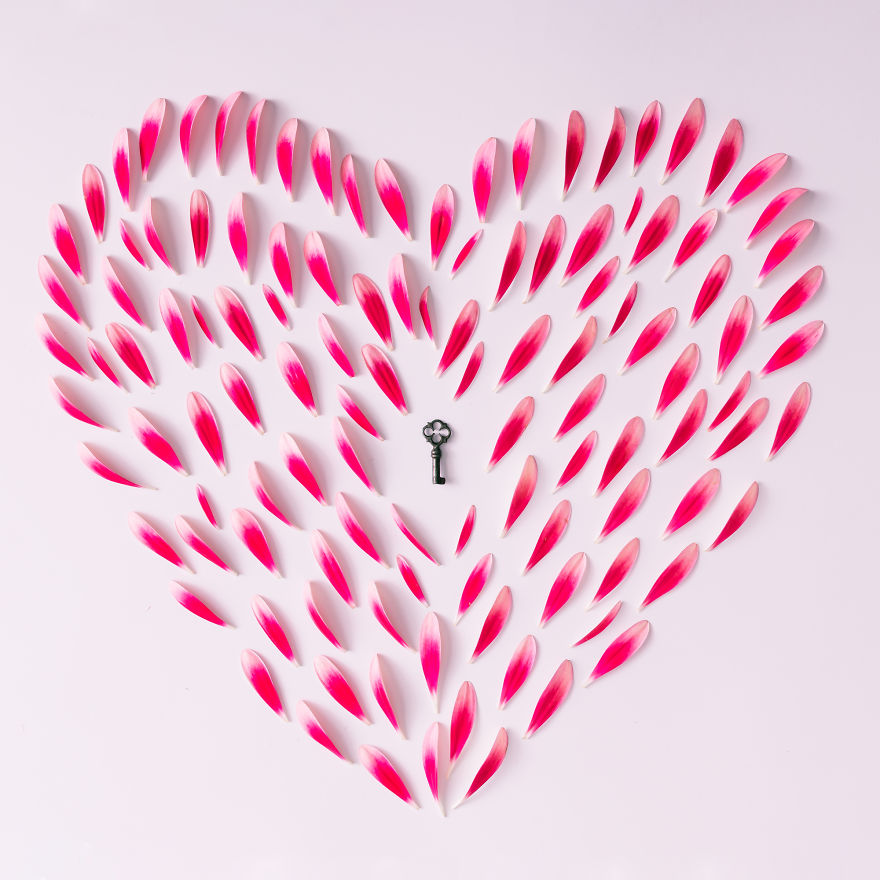 This Photographer Turns Flowers And Leaves To Art Objects